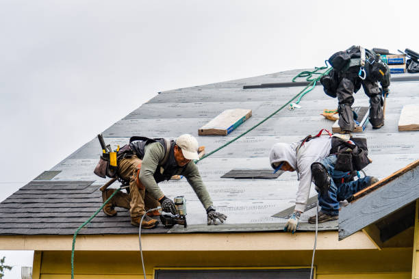 Professional Roofing technician working in Holland, MA